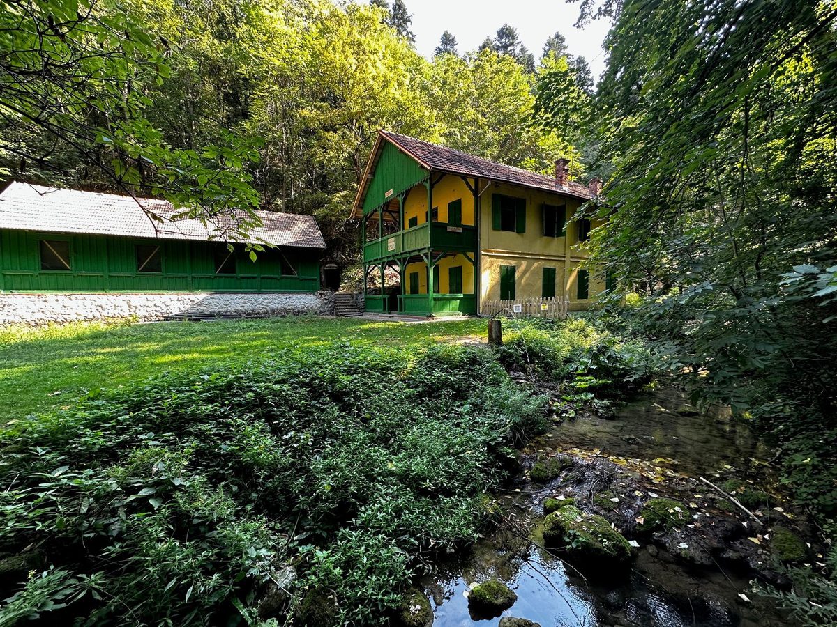 Cabana Șușara și anexa ei lungă, verde, cu poiana tunsă în față și pârâul curgând prin dreapta cadrului
