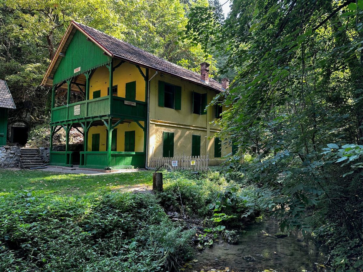 Cabana Șușara văzută de peste pârâu, cu gardul de scânduri și treptele de piatră care urcă la intrare