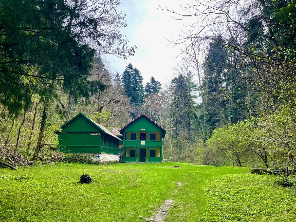 Cabana Șușara primăvara, cu pădurea încă desfrunzită în jur și poteca urcând prin iarbă spre ea