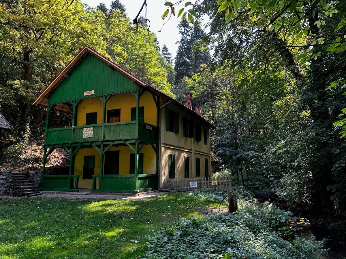 Cabana Șușara, clădire galbenă cu pridvor și balcon de lemn vopsite în verde, așezată în poiana dintre brazii de pe Cheile Șușarei