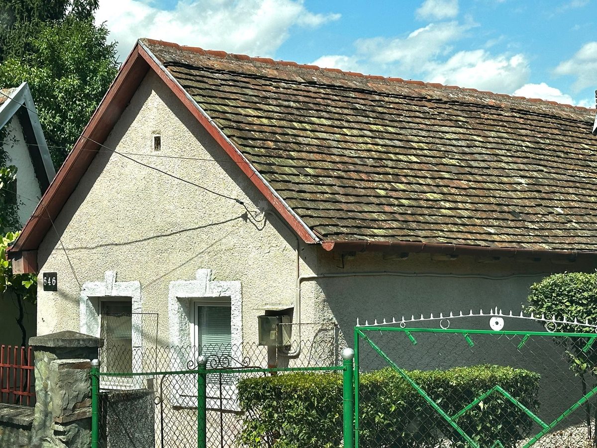 Casă veche cu acoperiș de olane înnegrite de vreme, cu gard verde de plasă și un pom crescut lângă poartă