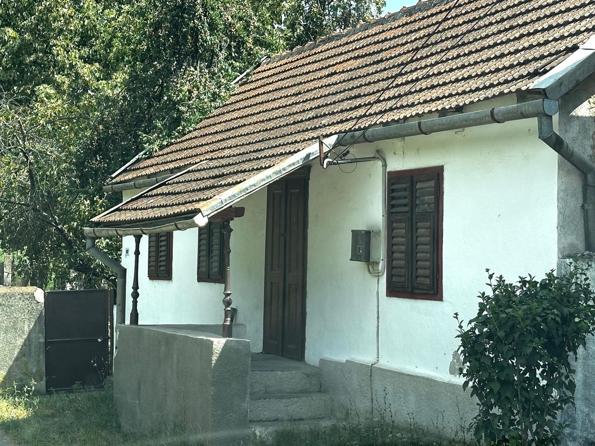 Casă albă cu acoperiș de olane și trepte de piatră la intrare, la umbra pomilor de pe uliță