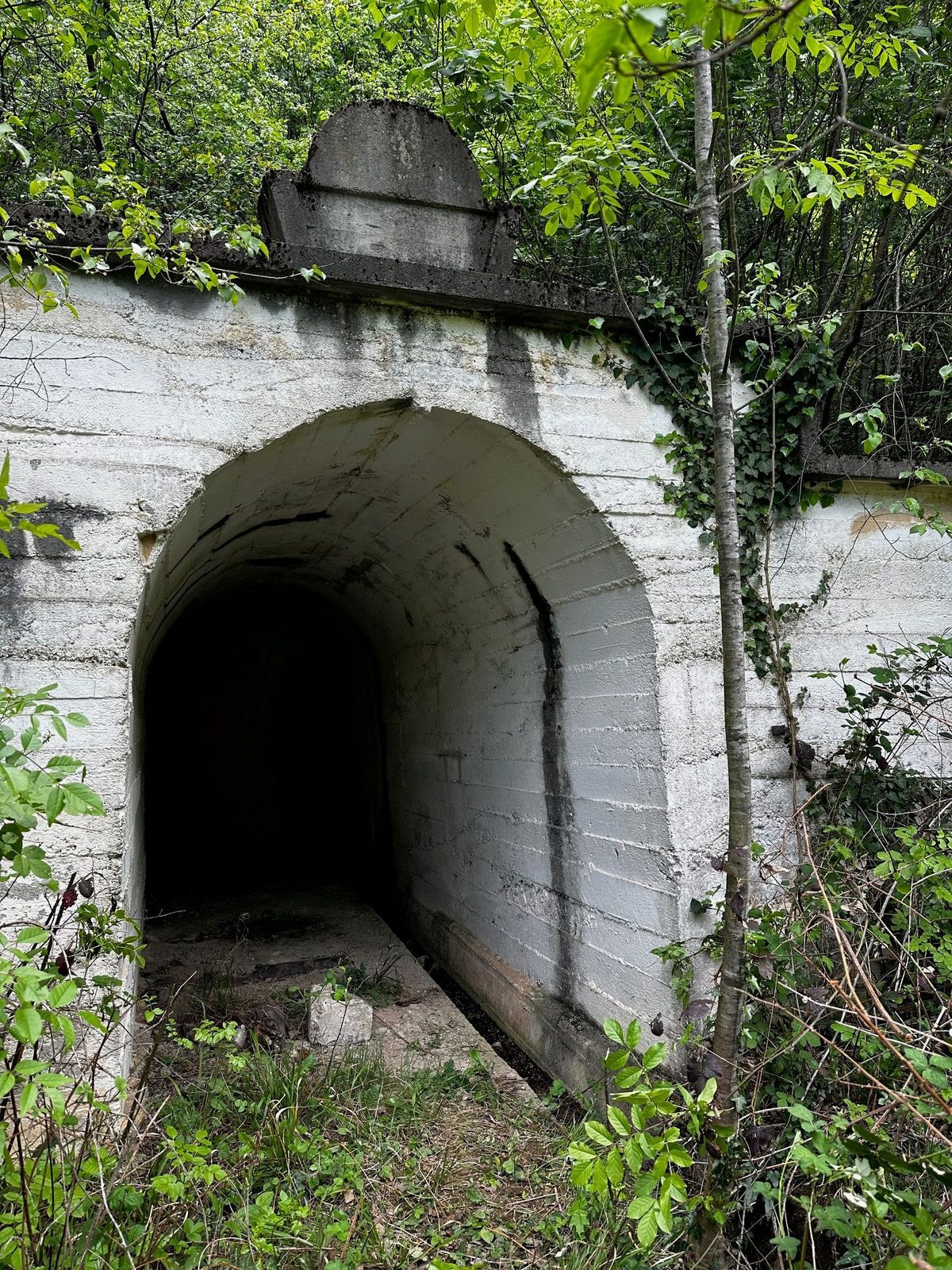 Intrarea depozitului de explozibil: portal de beton văruit, cu fronton rotunjit și boltă joasă, năpădit de verdeață