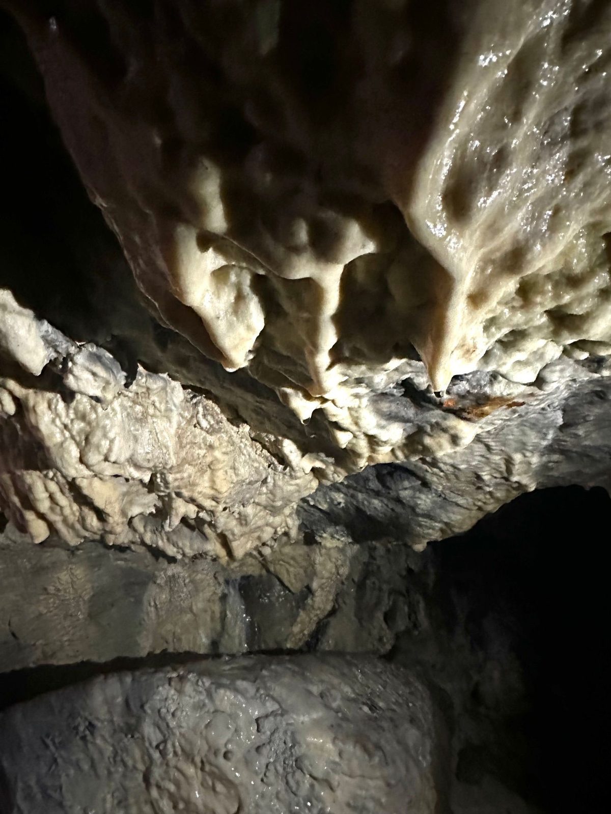 Stalactite formate pe tavanul galeriei de mină, luminate de lanterna frontală