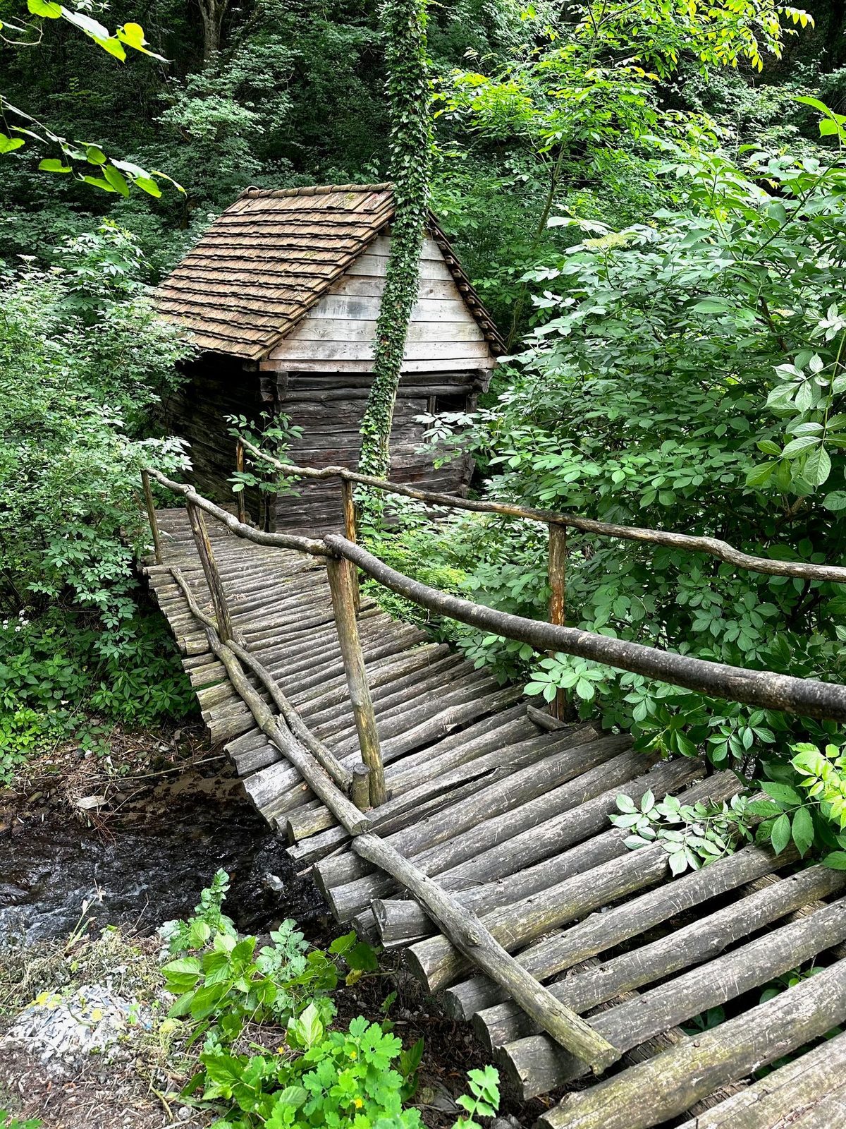 Puntea de trunchiuri cu balustradă de crengi care trece peste pârâu spre moara veche