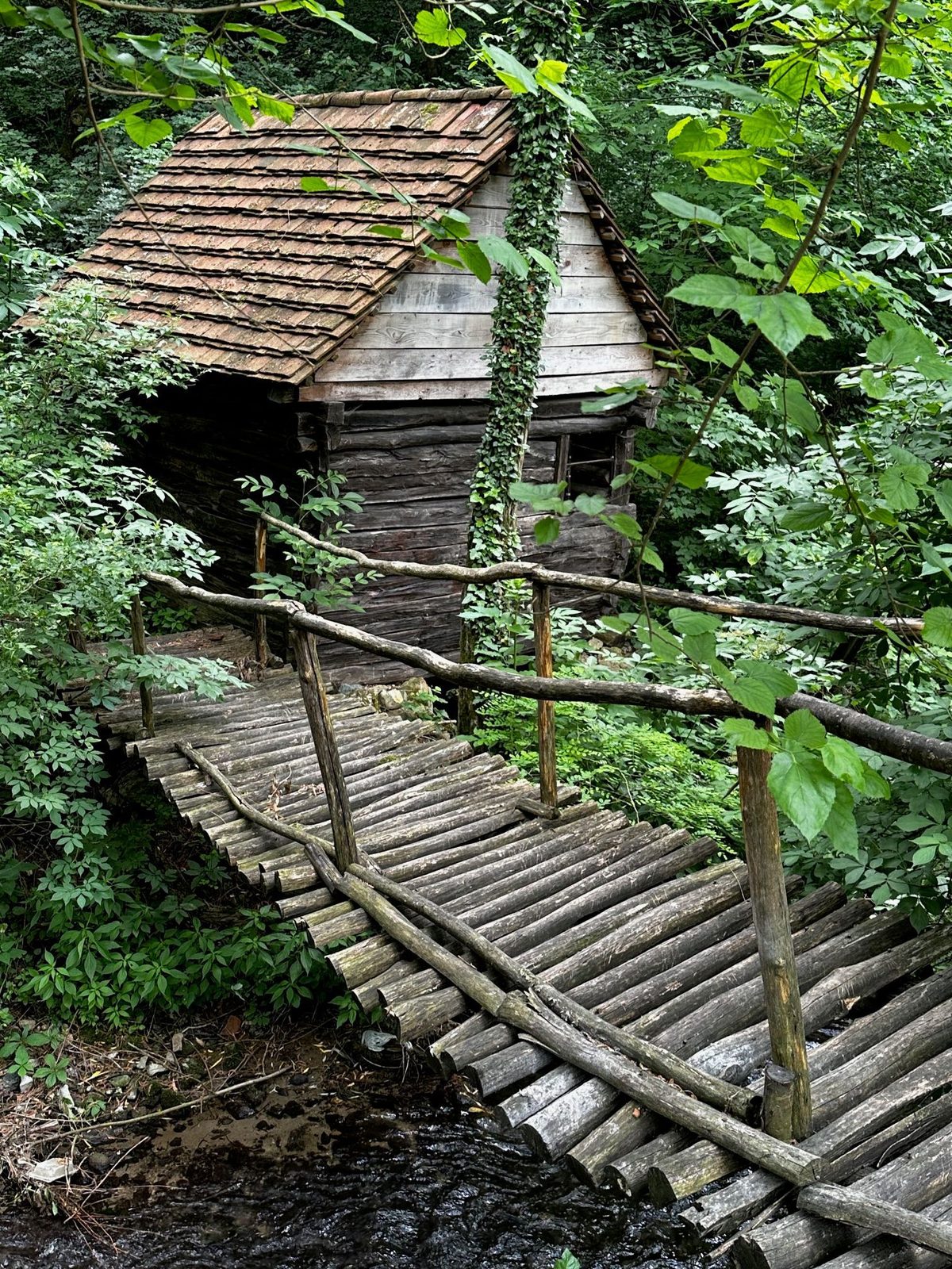 Vechea moară de apă din bârne, cu puntea de lemn care duce spre ea peste pârâu