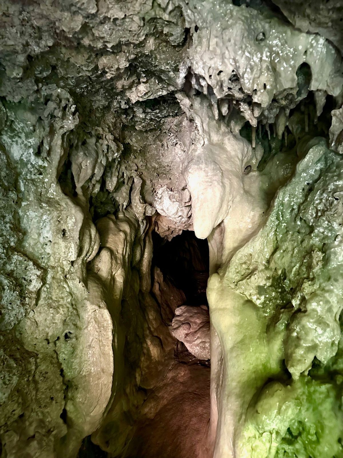 Galerie îngustă a peșterii, cu stalactite mici pe boltă și alge verzi crescute pe piatră acolo unde ajunge lumina