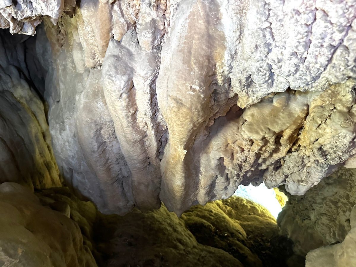 Scurgeri groase de calcar atârnând din tavanul peșterii, la câțiva pași de gura de intrare