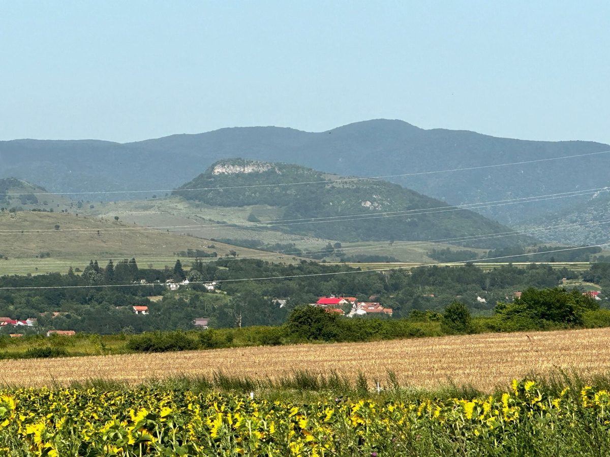 Satul Potoc la poalele Dealului Coruna, cu peretele de calcar pe care stau ruinele cetății și un lan de floarea-soarelui în prim-plan