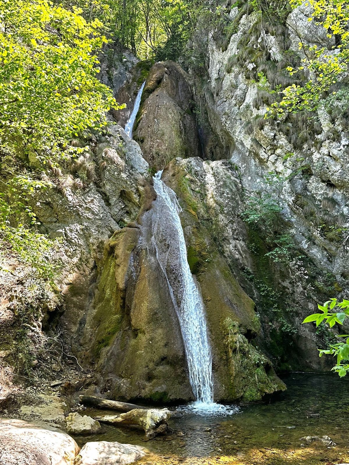 Cascada Șușara pe toată înălțimea ei, prăvălindu-se în două trepte peste travertinul galben-verzui, între pereții de calcar ai cheilor