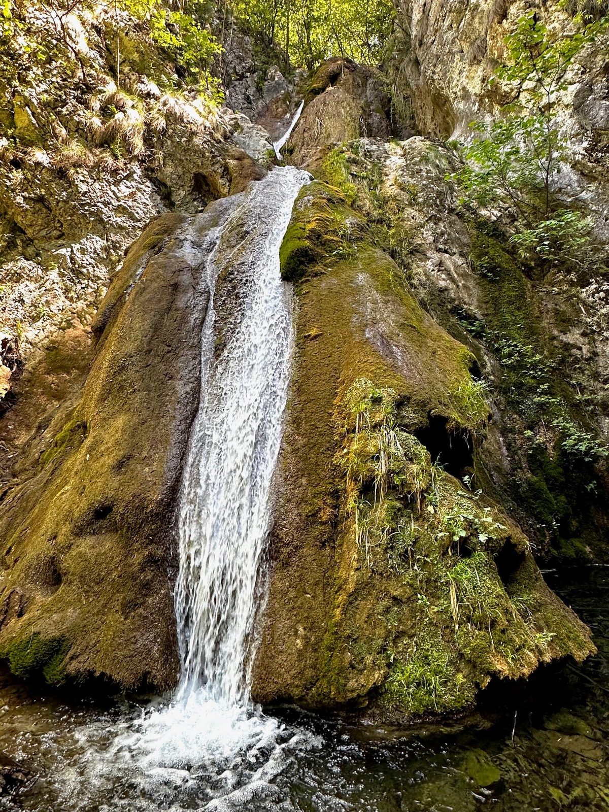 Cascada Șușara căzând pe blocul de travertin acoperit de mușchi, în lumina filtrată prin pădure