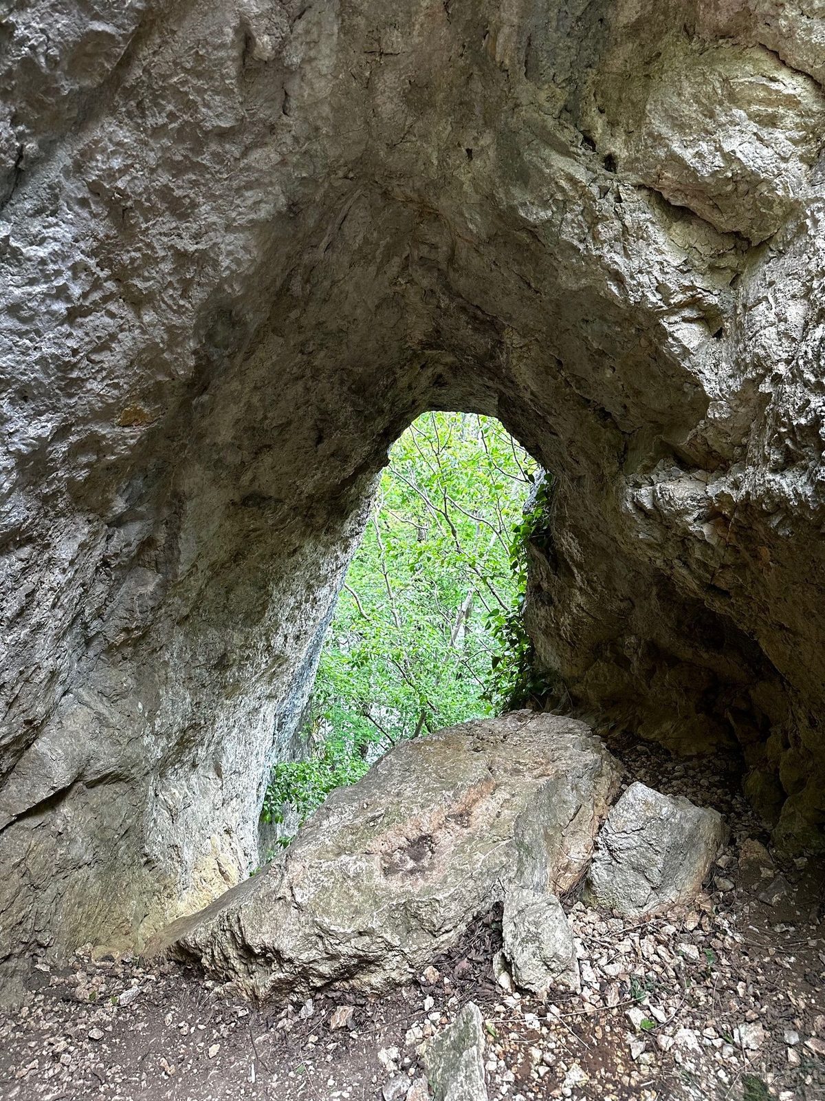 Arcadă naturală în stâncă deasupra potecii, cu pădurea văzută prin deschizătură