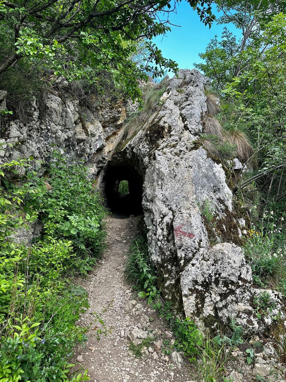 Gura unui tunel săpat în stânca de calcar, cu poteca îngustă care intră în el pe sub bolta joasă